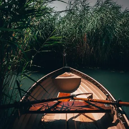 Fuzliget Surf Front *